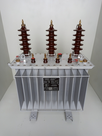 100 kVA A+Sınıfı Transformatör